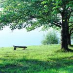草食系男子の脈ありサインと恋愛のコツ｜デートやLINEはどうするべき？